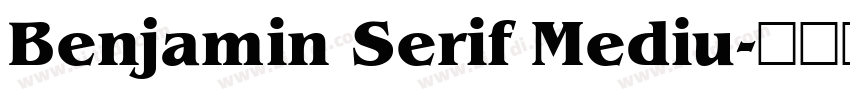 Benjamin Serif Mediu字体转换